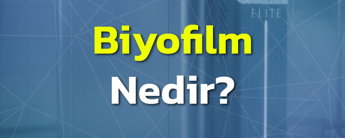 Biyofilm Nedir, Nasıl Önlenir