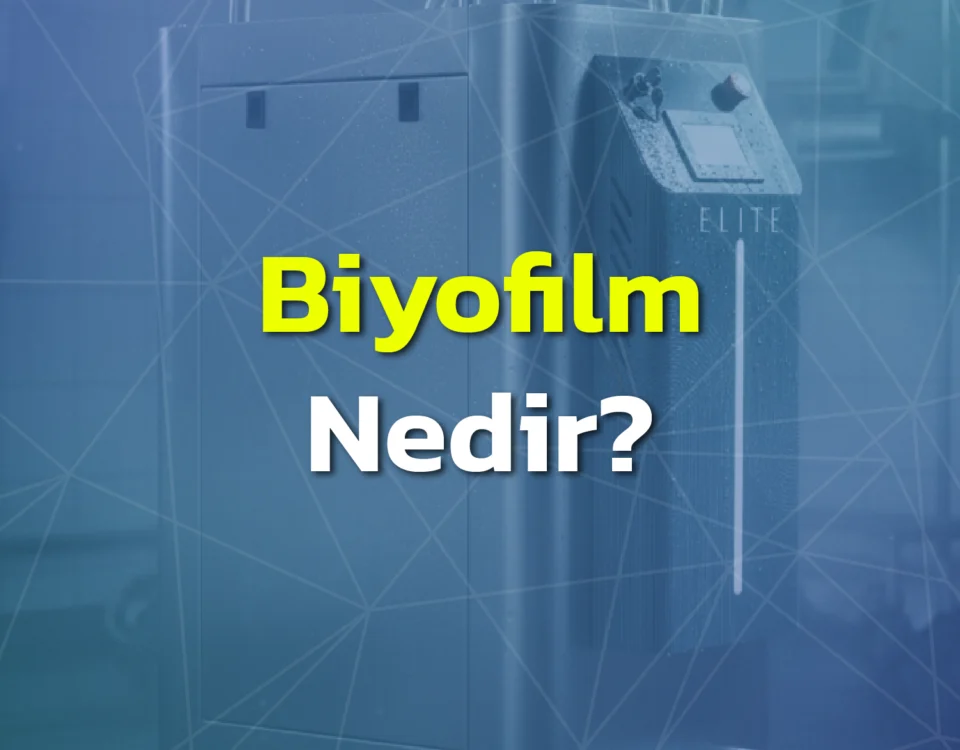 Biyofilm Nedir, Nasıl Önlenir