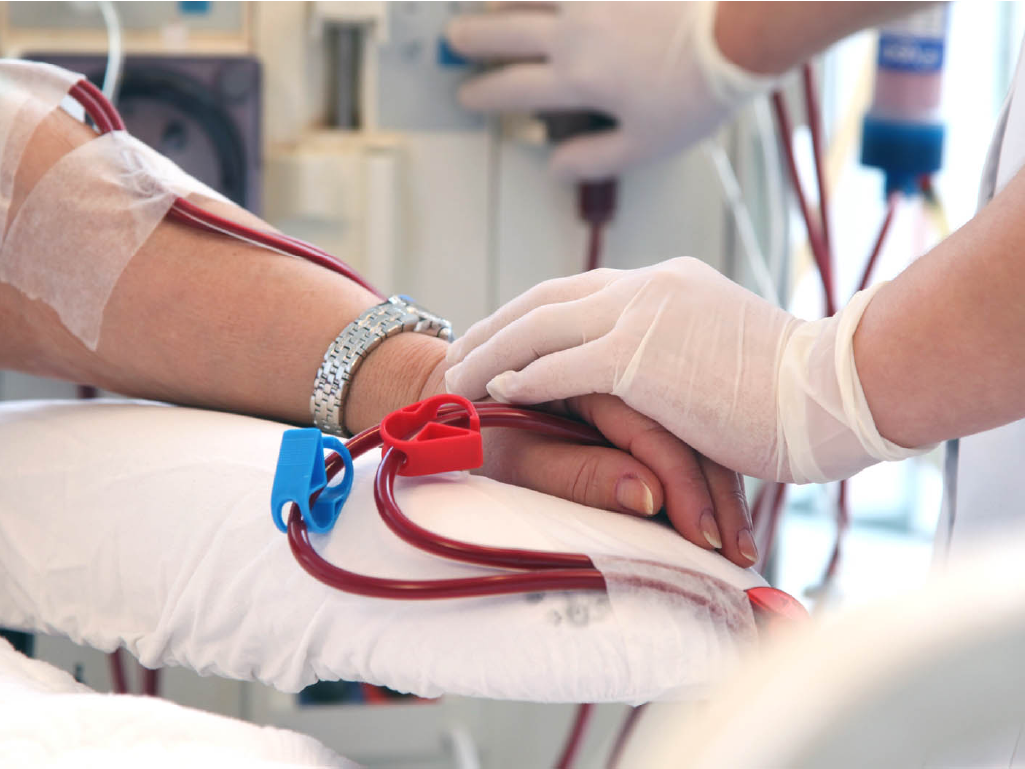 Hemodiyalizde endotoksin nedir?